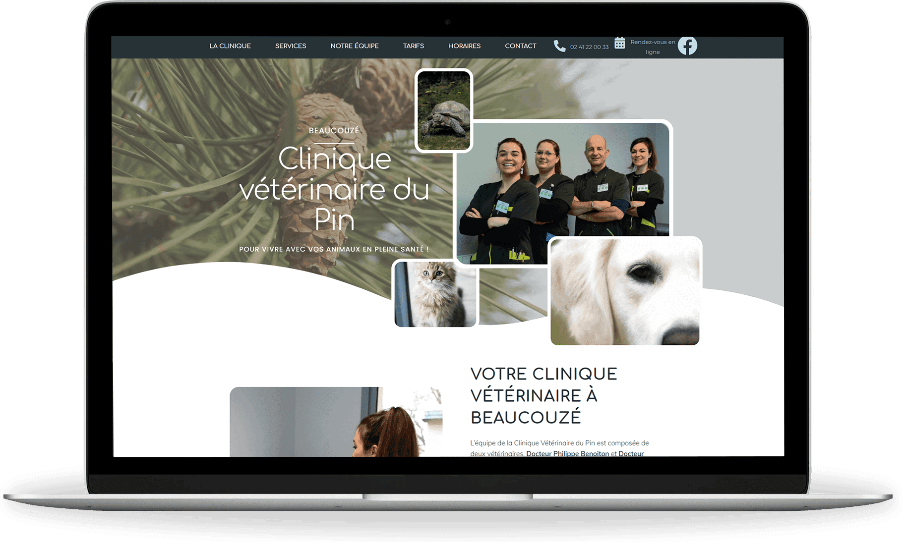 création site internet vétérinaire - clinique vétérinaire du pin