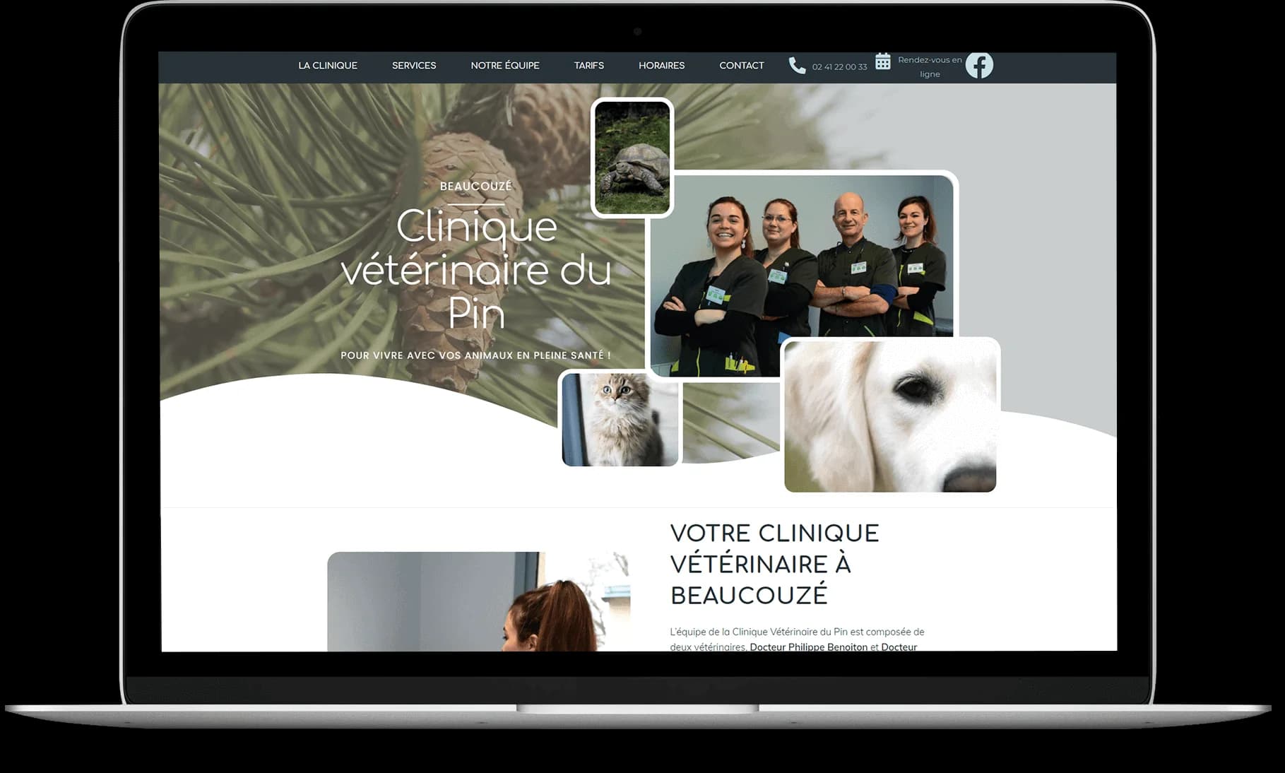 création site internet vétérinaire - clinique vétérinaire du pin